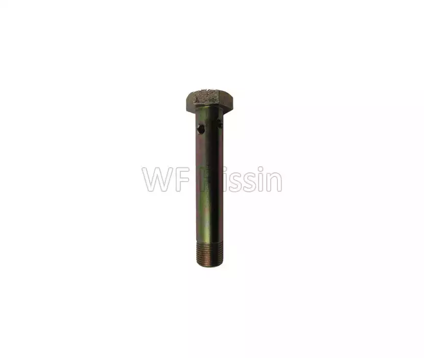 Hollow long bolt TB